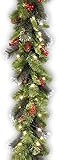National Tree Company Pre-Lit Artificial Christmas Garland, Green, Crestwood Spruce, White Lights, D | Amazon (US)