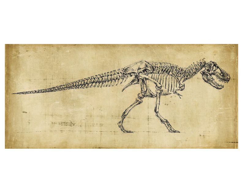 Tyrannosaurus Rex Art, Oddities and Curiosities , T-Rex Drawing, Dinosaur Skeleton, Dinosaur Art,... | Etsy (US)