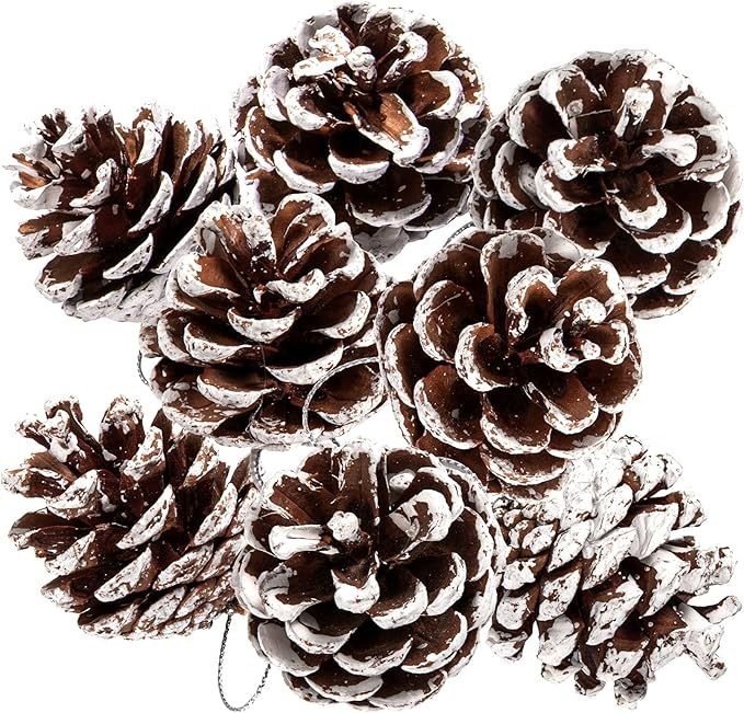 Whaline 25Pcs Christmas Natural Pine Cones Bulk Rustic Snow Pinecones with String Pine Cone Penda... | Amazon (US)