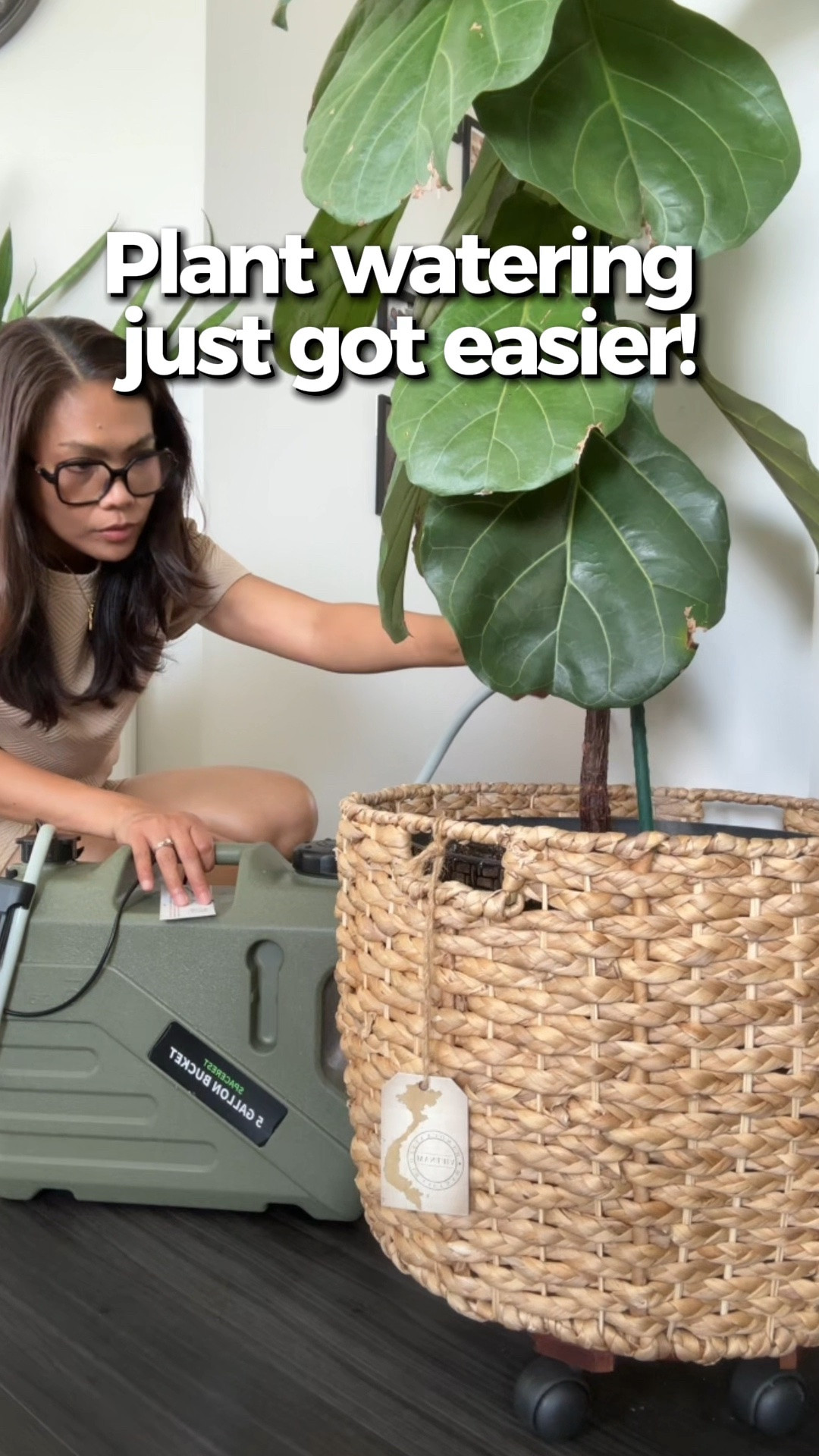 I found a way to water all my plants in one go!

#LTKstorytime #LTKHome