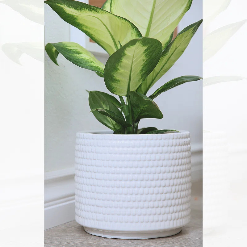 Lesa Ceramic Pot Planter | Wayfair North America