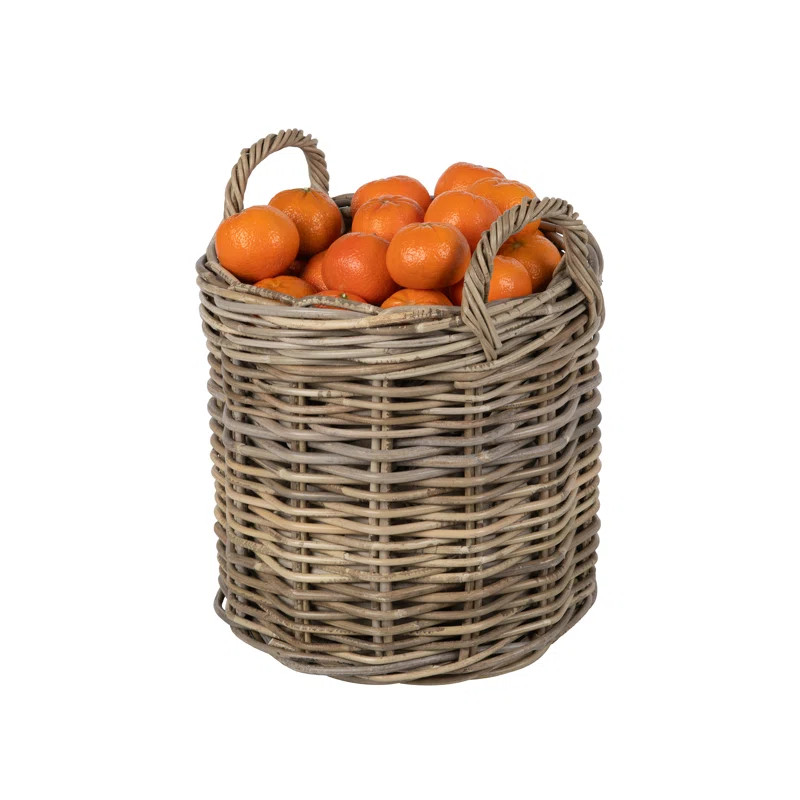 Beachcrest Home™ Ayriauna Basket & Reviews | Wayfair | Wayfair North America