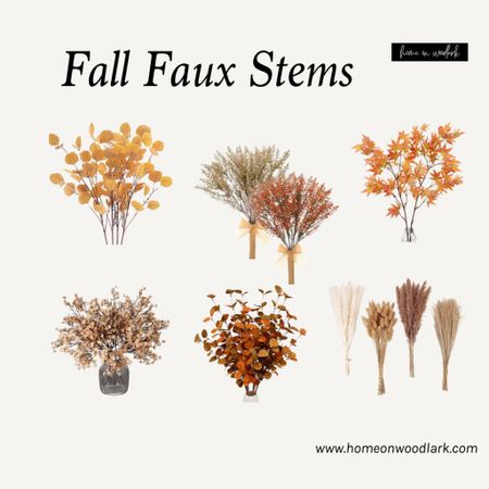 There are so many affordable options for fall stems.  Check out my picks!  

Fall faux stems.  Eucalyptus.  Maple leaves.  

#LTKSeasonal #LTKhome #LTKfindsunder50