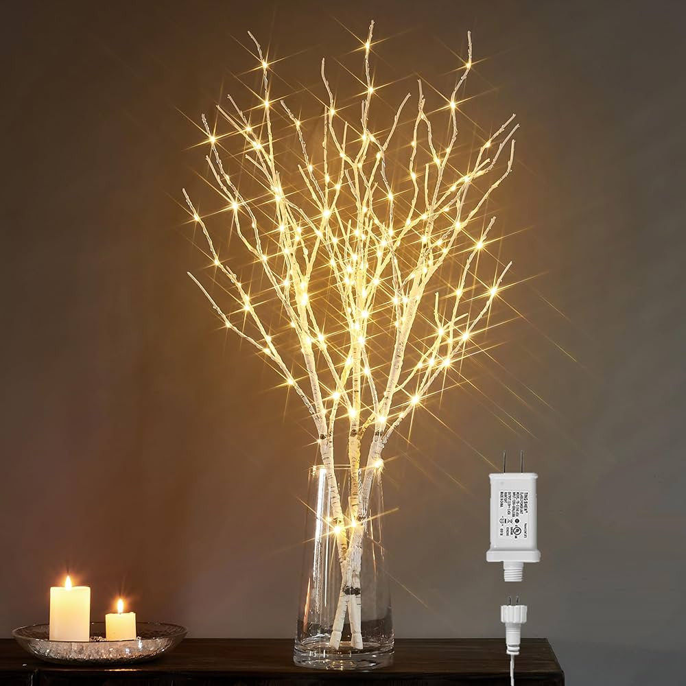 LITBLOOM Lighted White Birch Twig Branches 30IN 150 LED Plug in with Timer and Dimmer, Artificial... | Amazon (US)