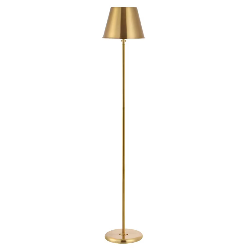 Asher Iron Floor Lamp (Includes LED Light Bulb) Brass - Safavieh | Target