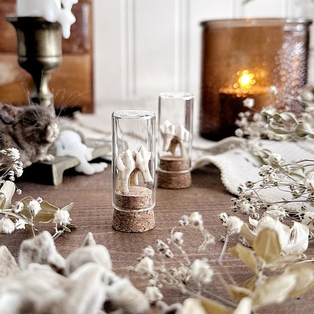 Petite Rustic Deer Tooth in Glass Vial No. 03, Real Deer Molar, Natural History, Curiosity, Oddit... | Etsy (US)