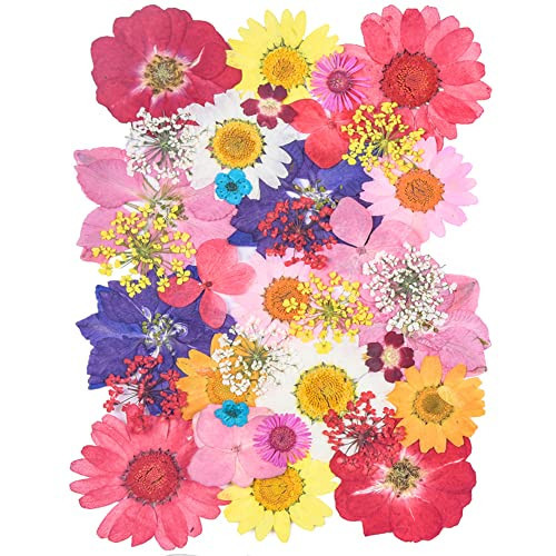 YouthBro Dried Pressed Flowers for Resin Molds,Real Natural Pressed Flowers for DIY Art Crafts,Candle Making, Nails Décor,Soap Making, Phone Case Red Pink | Amazon (US)