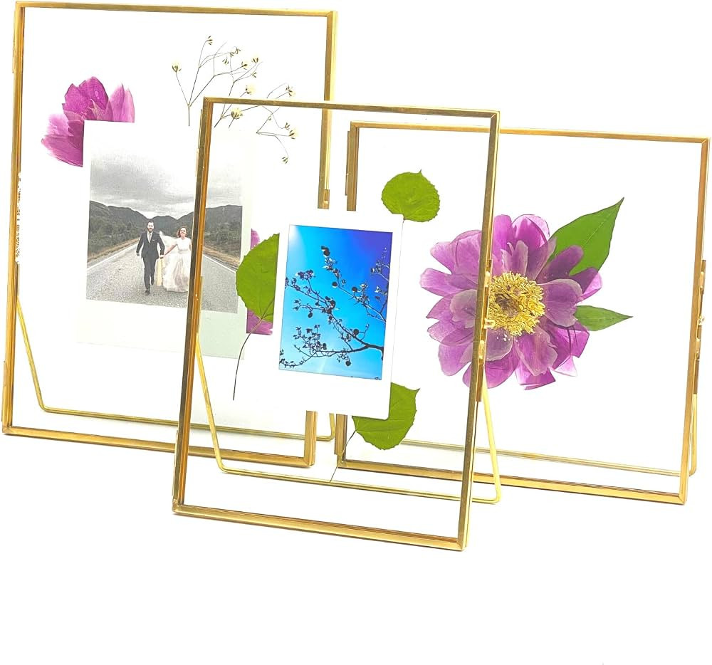 Double Glass Frame for Pressed Flowers, Leaf and Artwork - Gold 6x6 Standing Square Metal Picture... | Amazon (US)
