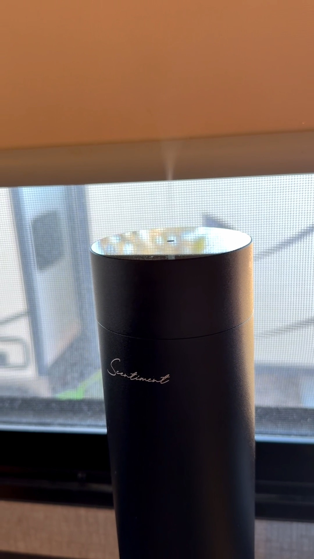 No flame, no effort — just the best scent in every room.
Remote-controlled, customizable, and obsessed is an understatement.

ON SALE FOR $74 (originally $250) use code: 2026 at checkout! 

They have a TON of scents to choose from! 

#LTKHome #LTKFindsUnder100 #LTKGiftGuide