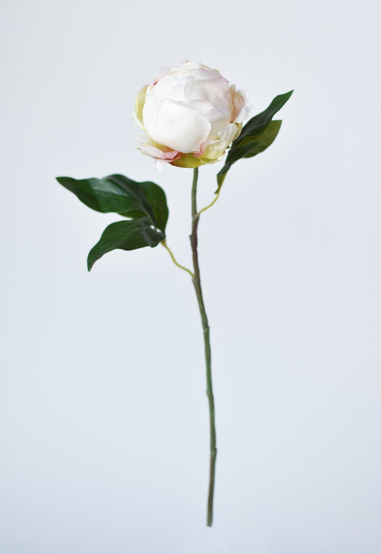 18" Faux Peony Bud Stem White | HouseFloral