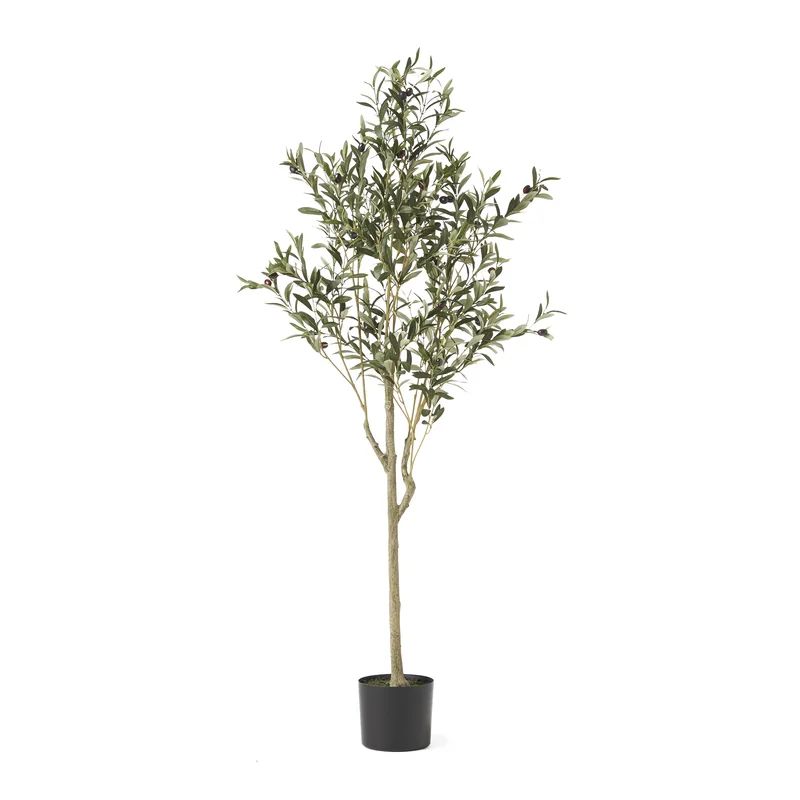 Aarav Faux Olive Tree in Pot | Wayfair North America