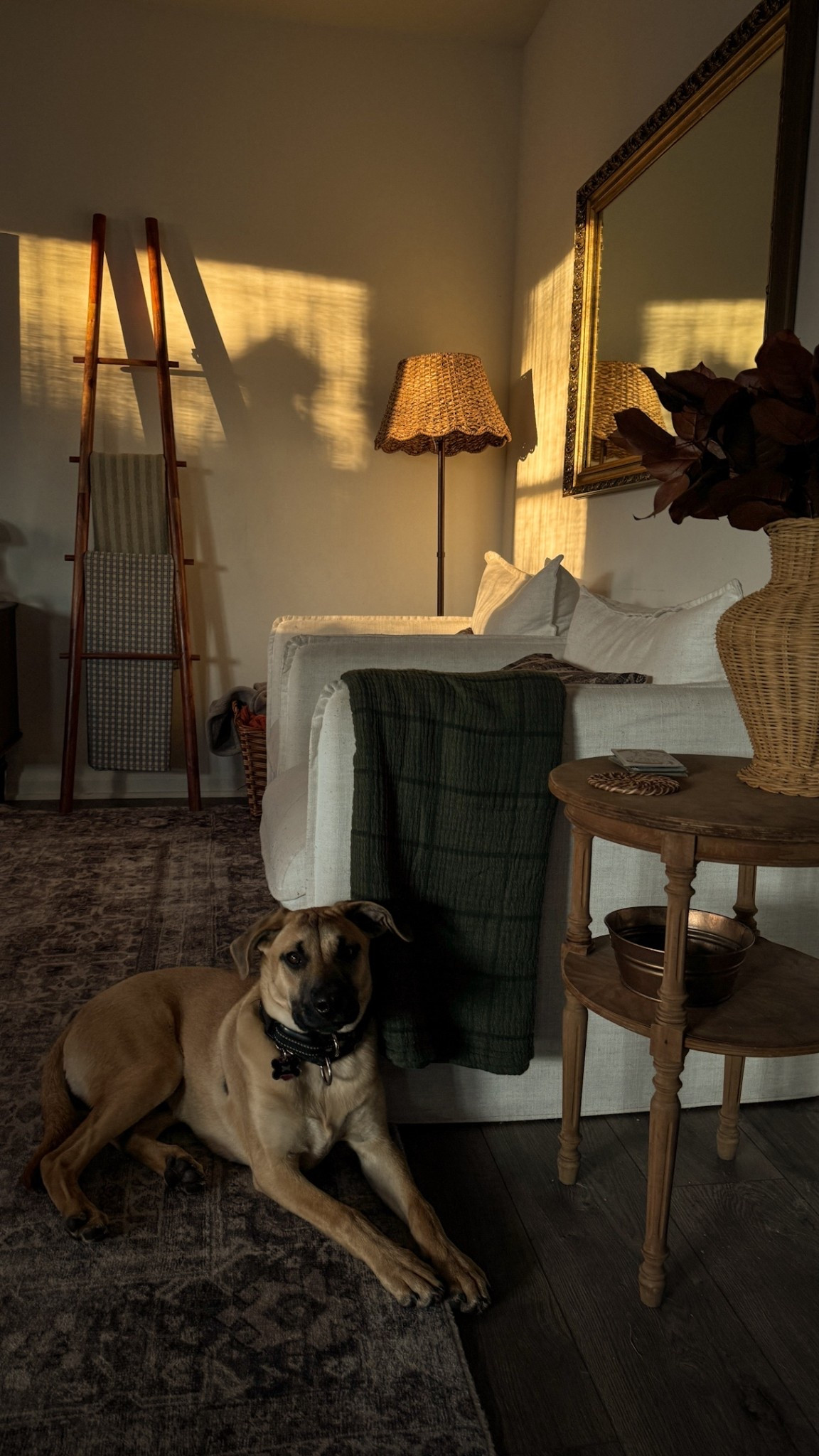 My rug, scalloped rattan lamp shade, and blanket ladder are all on sale  

#LTKFindsUnder100 #LTKSaleAlert #LTKHome