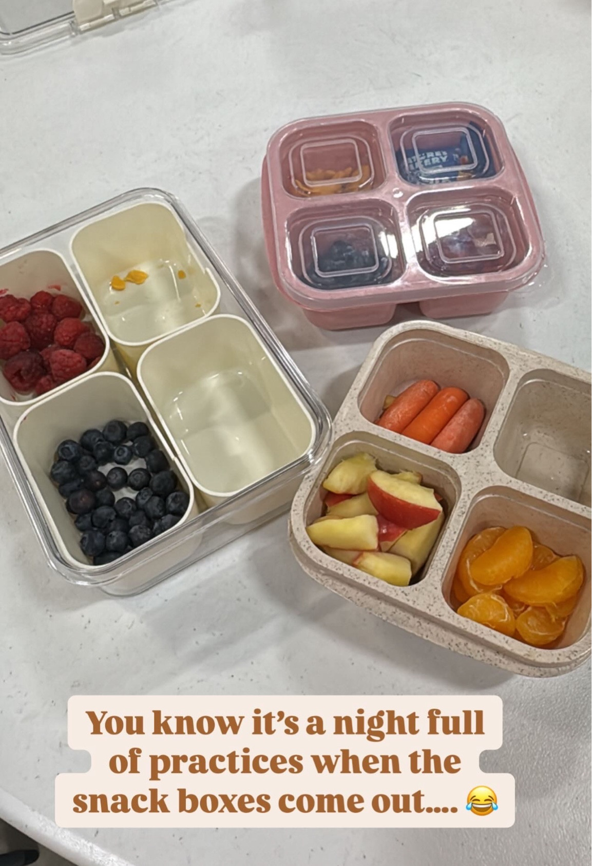 Our favorite Snackle box containers 