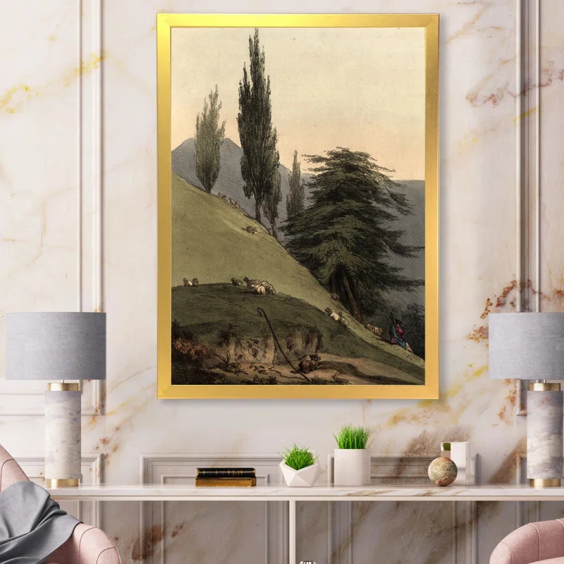 Vintage Images Of Old Trees II Framed On Canvas Painting | Wayfair North America
