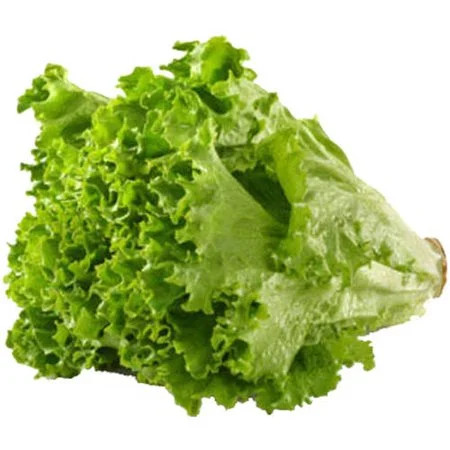 Fieldpack Unbranded Green Leaf Lettuce - Walmart.com | Walmart (US)