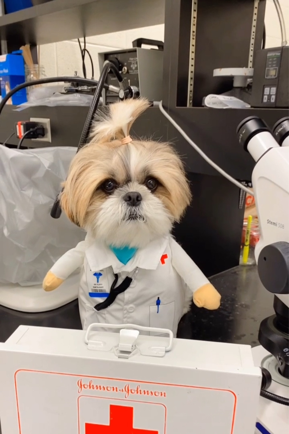 Dog costume 

#LTKGiftGuide #LTKHalloween #LTKSeasonal