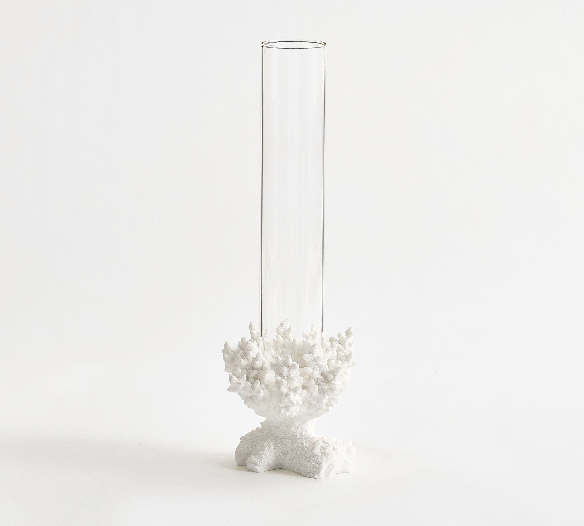Coral Candle Holders | Pottery Barn (US)