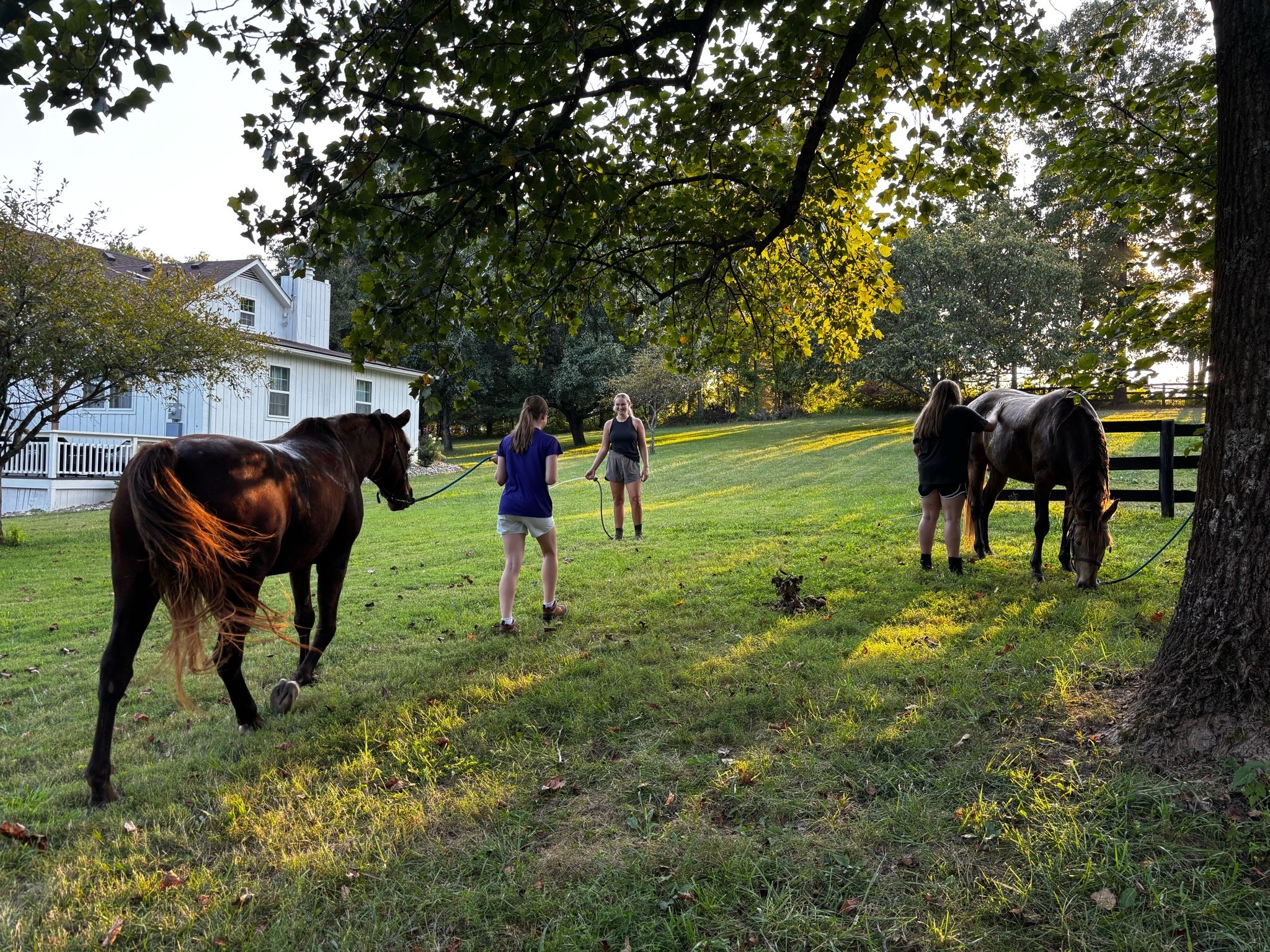Been a little MIA over here! First trimester knocked me on my butt and all the energy I’ve had has gone to loving on my people! Currently co hosting horse camp and it has been so life giving! Talking all things Jesus and horses and giving lessons! Tonight we rode for an hour then gave everyone baths to cool off 💙 I also have had some fun pieces sent my way but can’t show them yet or I’ll give babies gender away 🤪 ((shoutout to pink blush for extending my timeline so we could announce first!!!))

#LTKootd #LTKstorytime #LTKU