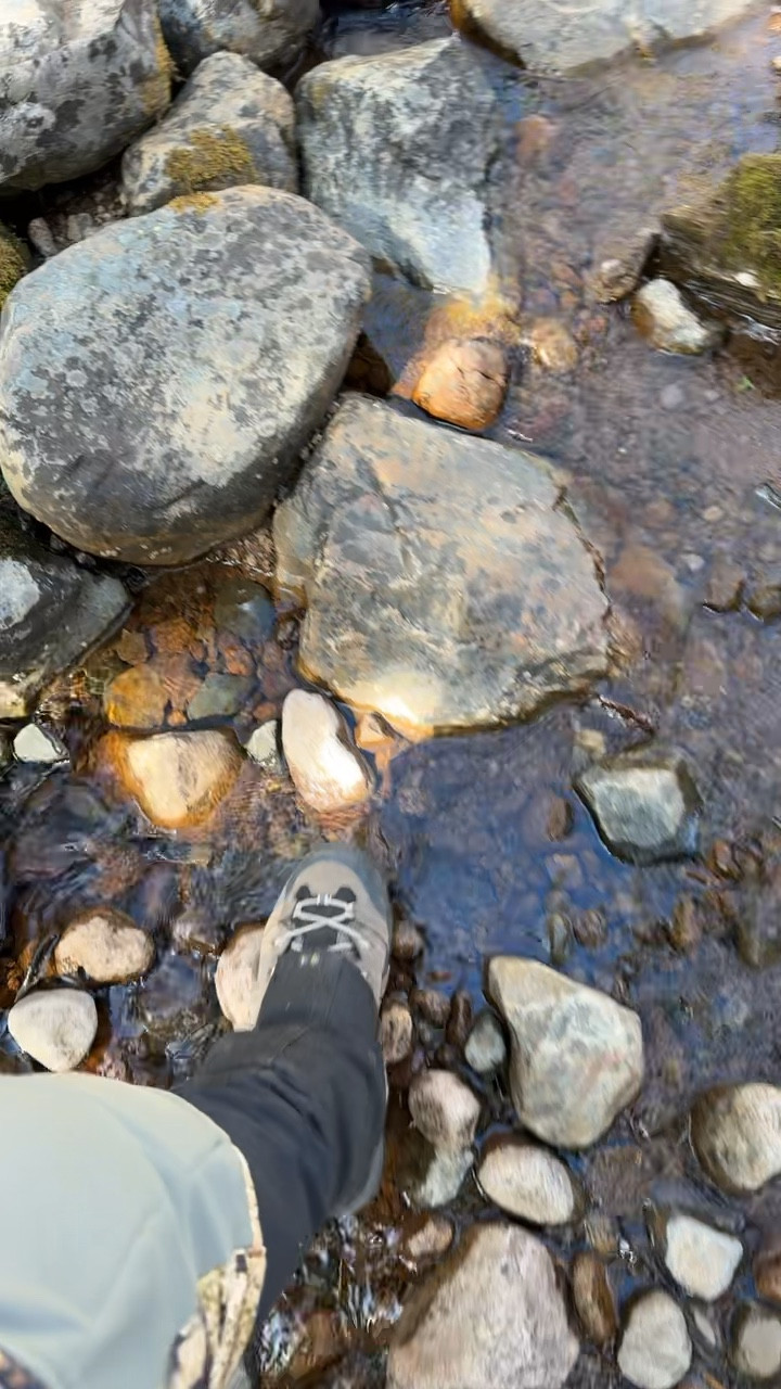 🌿 Creek crossings + rocky terrain = gear that works as hard as I do.
Wearing my Salewa Women’s Alp Mate Mid Waterproof Trekking & Hiking Boots 👟, SITKA Gear Women’s Breathable Hunting Pants, and Outdoor Research Crocodile Gaiters. Durable, waterproof, and built for the backcountry—whether I’m hunting, hiking, or just exploring close to home.

Tap to shop the gear I trust ⬆️

#LTKOutdoors #HuntingStyle #SpringAdventure #LTKHunting #Salewa #SITKAGear #OutdoorResearch #WomenWhoHunt