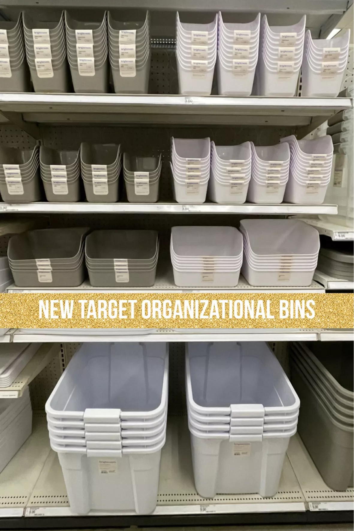PSA! Large Brightroom storage bins from Target can perfectly fit