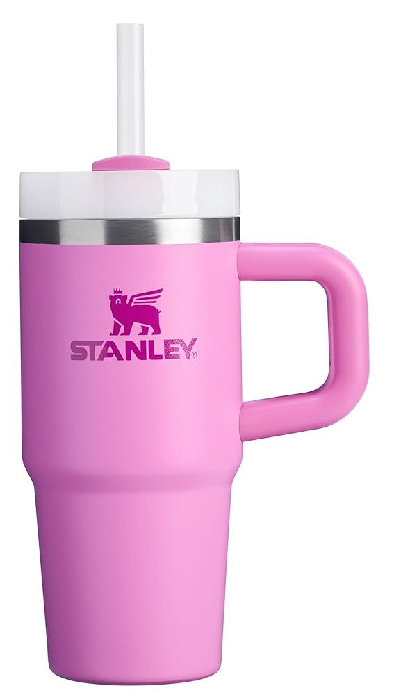 STANLEY Quencher H2.0 Tumbler with Handle and Straw 14 oz | Flowstate 3-Position Lid | Cup Holder... | Amazon (US)