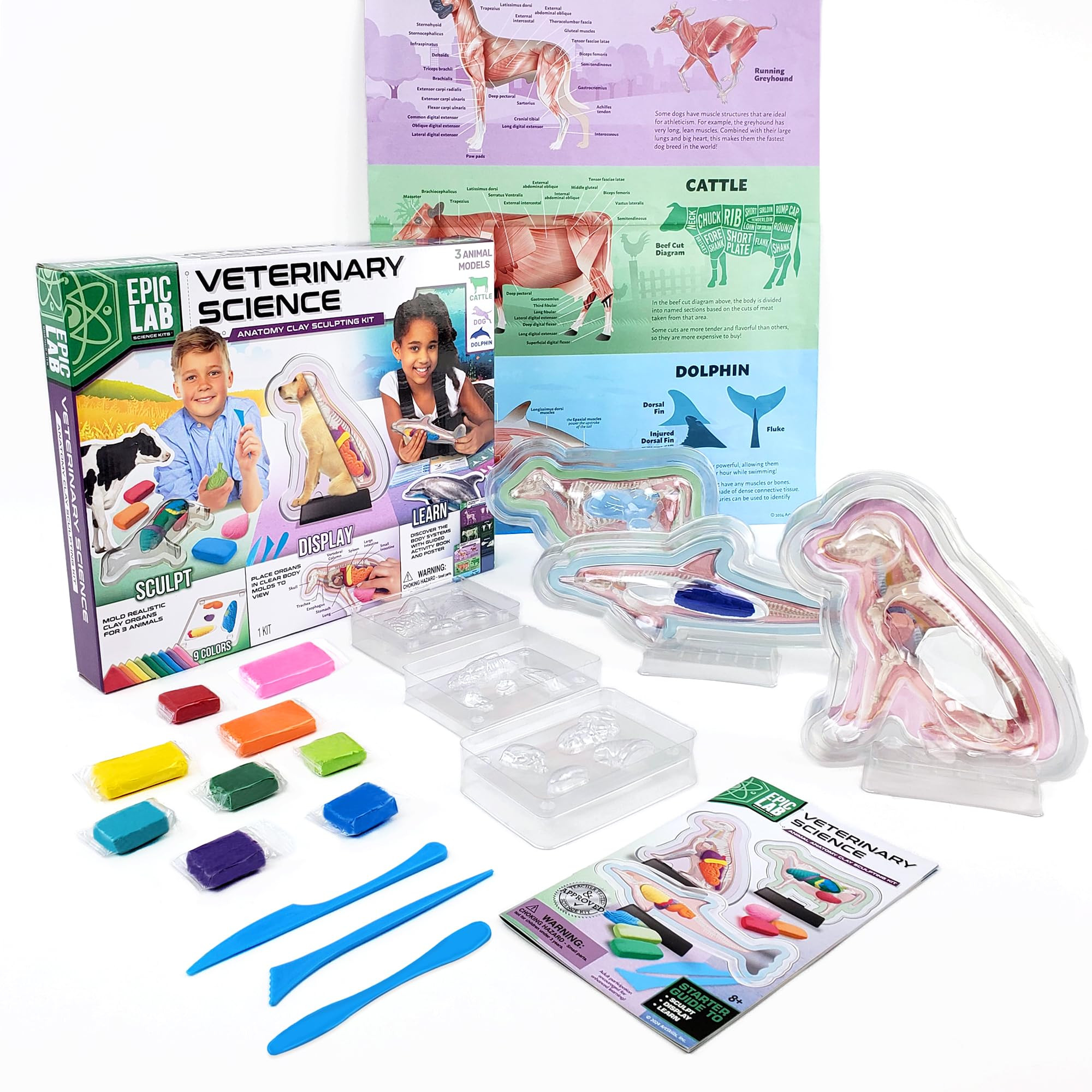 ArtSkills Epic Lab Vet Kit for Kids, Animal Anatomy Science Kit for Kids 8+ with Modeling Clay | Amazon (US)