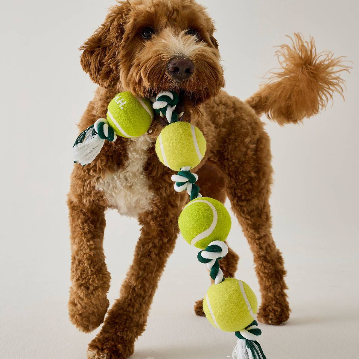Hooray House Tennis Ball Rope Tug Toy | Target