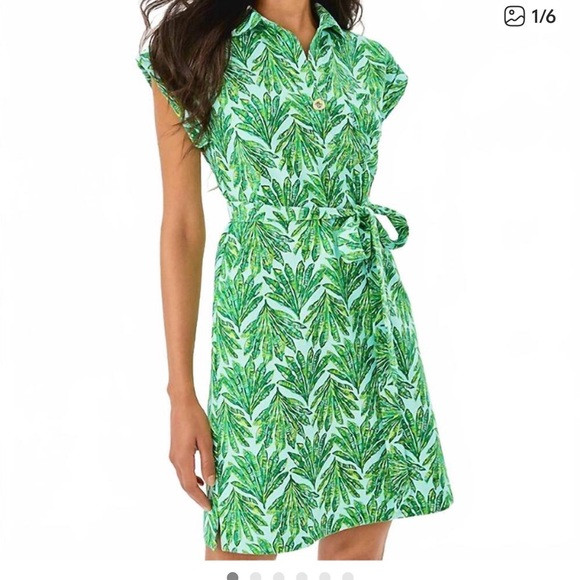 Lilly Pulitzer Emersyn dress in kitts green cross grain shady babe print | Poshmark