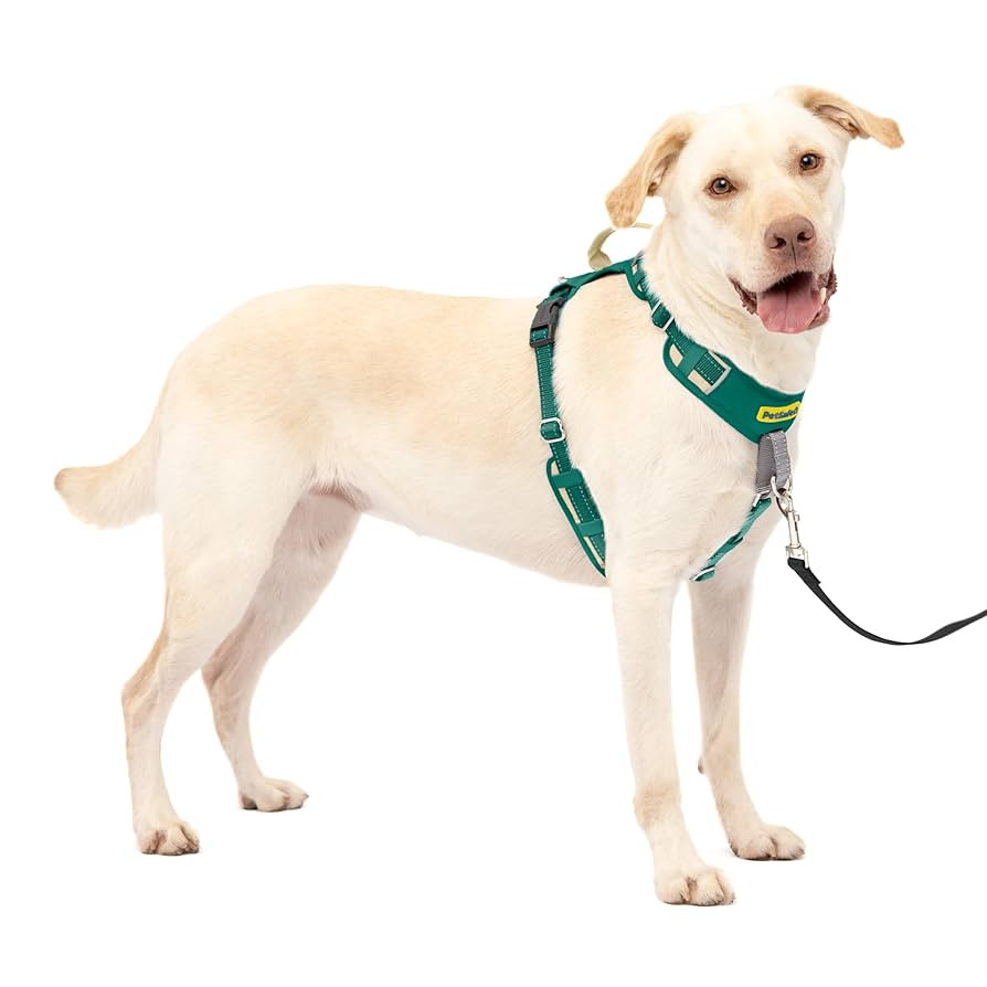 PetSafe Easy Walk Comfort No-Pull Dog Harness Full-Body Padding - Better Walks on The First Use -... | Amazon (US)