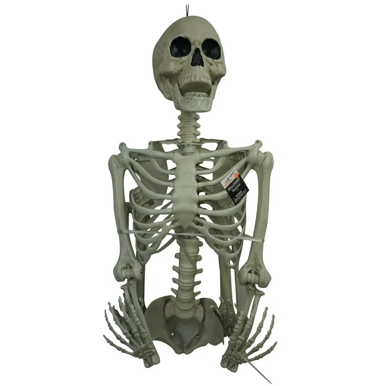 Halloween Plastic Posable Human Skeleton Decoration, Bone Color, 5FT, 3.5lbs, by Way To Celebrate | Walmart (US)