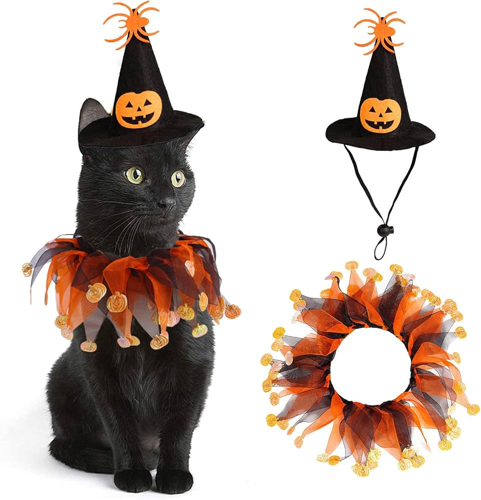 Cat Witch Halloween Costume Suit, Hmxpls Small Dogs & Cats Tutu Collar and Witch Pumpkin Hat Cute... | Amazon (US)
