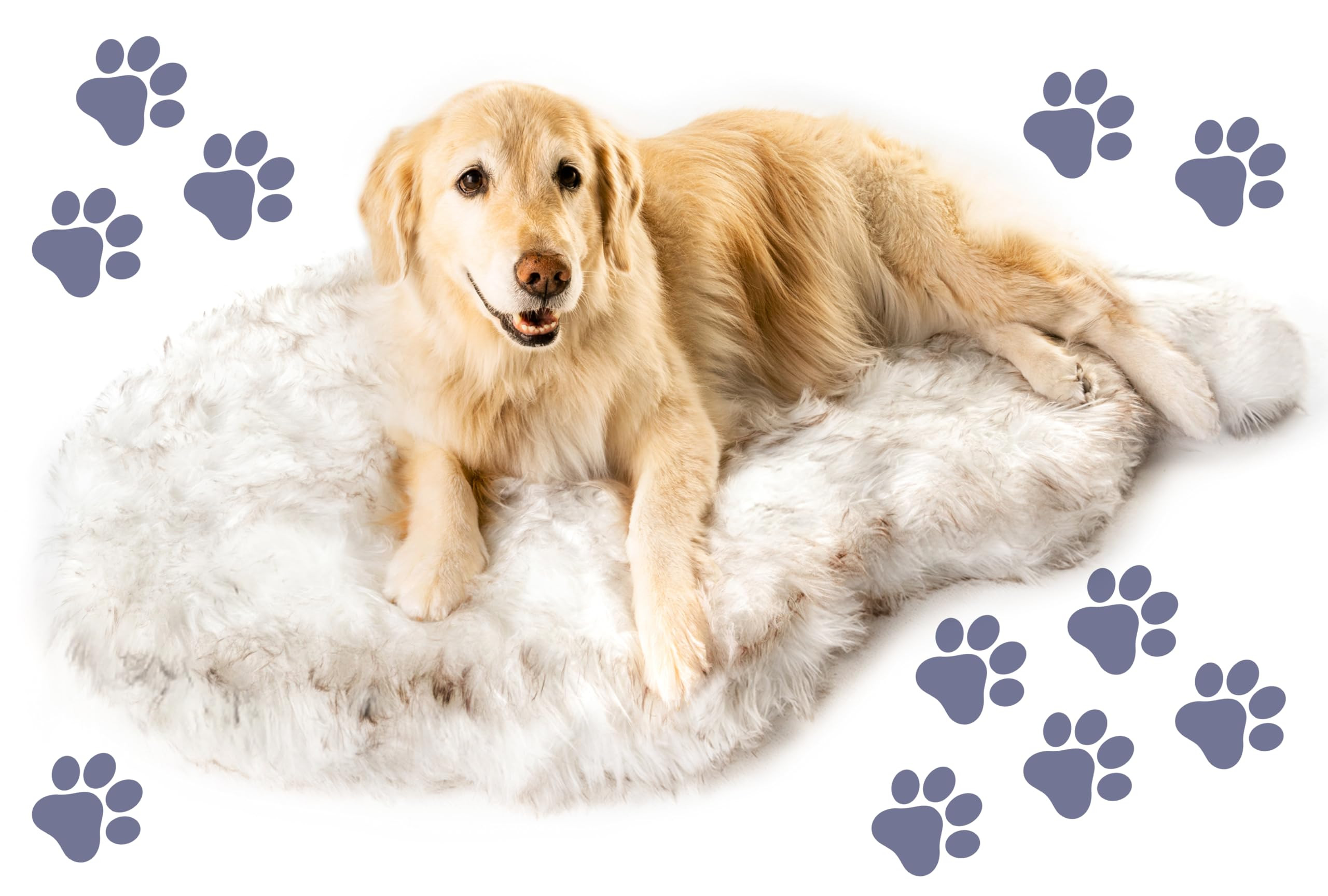 PAW BRANDS PupRug Orthopedic Dog Bed for Large Dogs with Fluffy Soft Faux Fur and Memory Foam for... | Amazon (US)