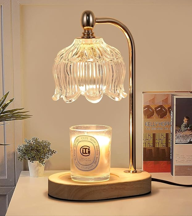 MEIXISUE Candle Warmer Lamp with Timer and Dimmer,Electric Gold Light Gifts for Women Melt Wax Wa... | Amazon (US)
