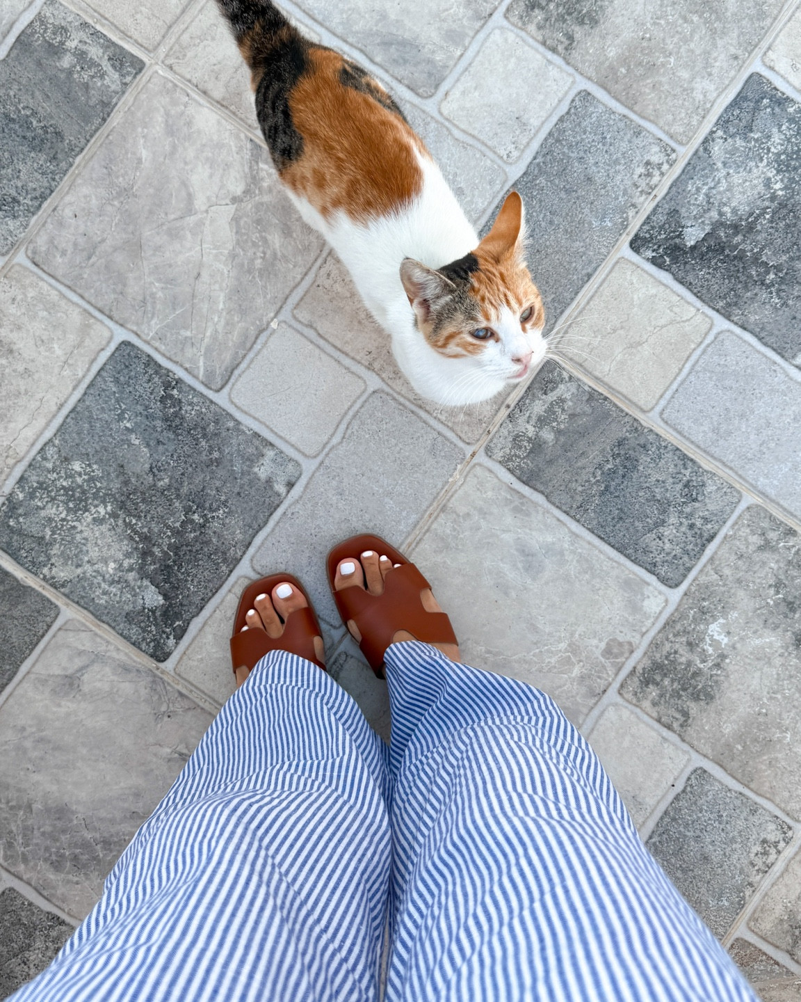 my favorite everyday sandals! so comfy and good even for the hotter fall days! 

#LTKFindsUnder50 #LTKStyleTip #LTKShoeCrush