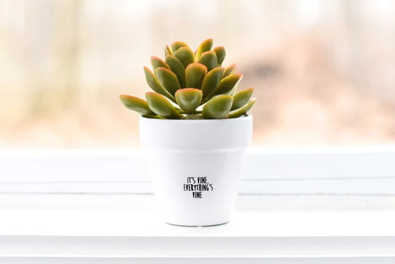 It's Vine everything's Vine | Plant Pot | Etsy (US)