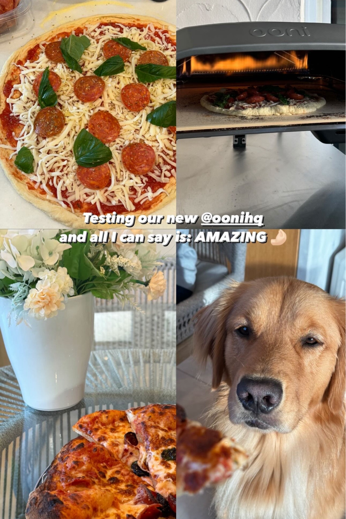 Homemade pizzas cooked in 60 seconds - SIGN ME UP 🤌🏻