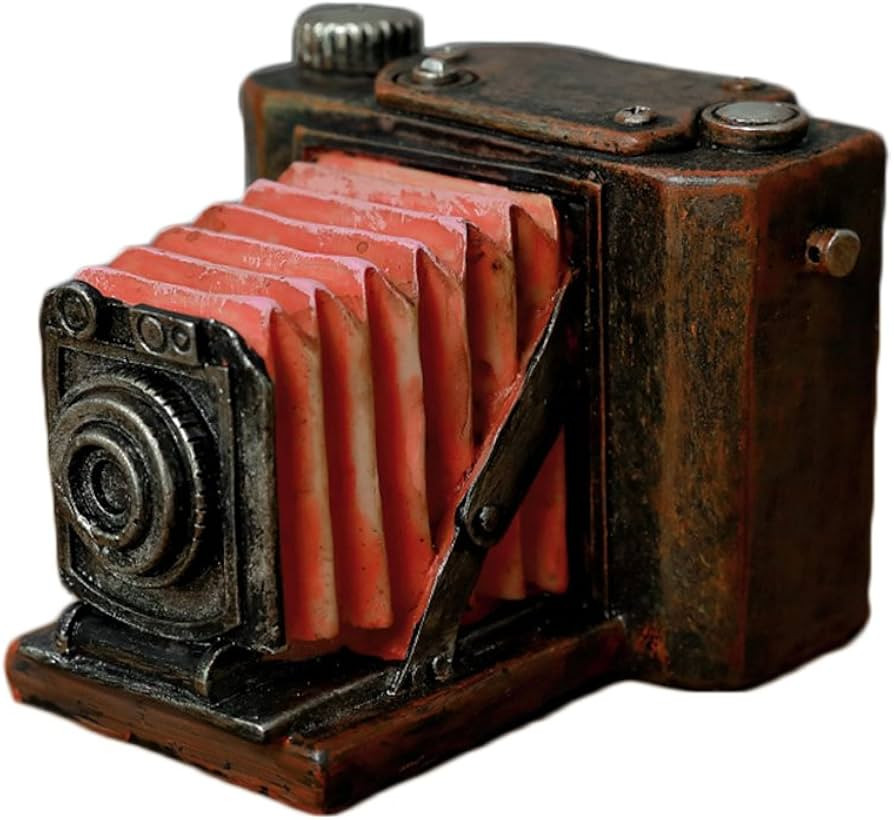 Colias Wing Home Decor Vintage Style View Camera Shape Design Coin Bank Money Saving Bank Toy Ban... | Amazon (US)