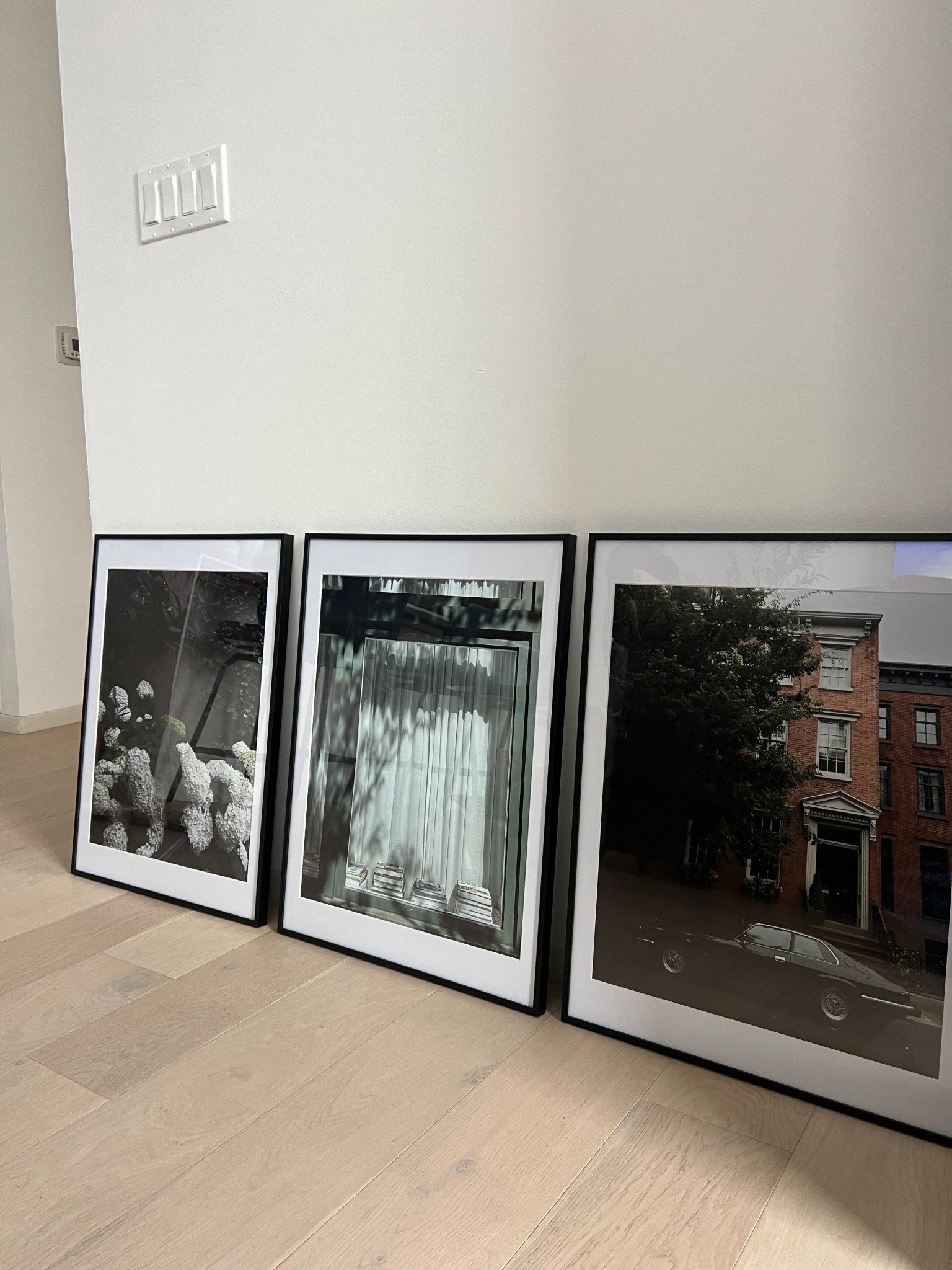 The best Amazon frames! 