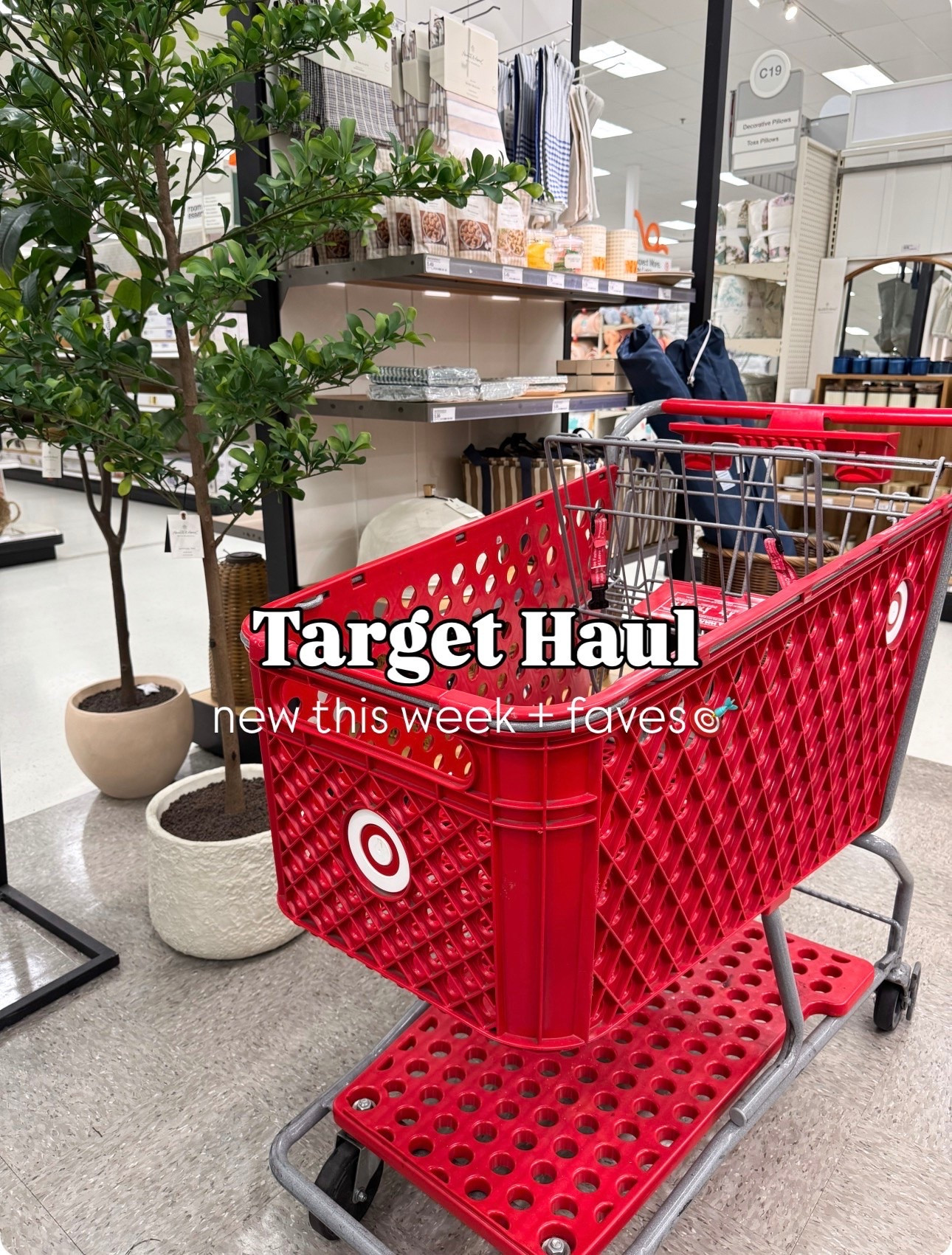 Shop with me @Target New finds + faves! 

Target haul, Target Style

#LTKMothersDay #LTKmomlife #LTKootd