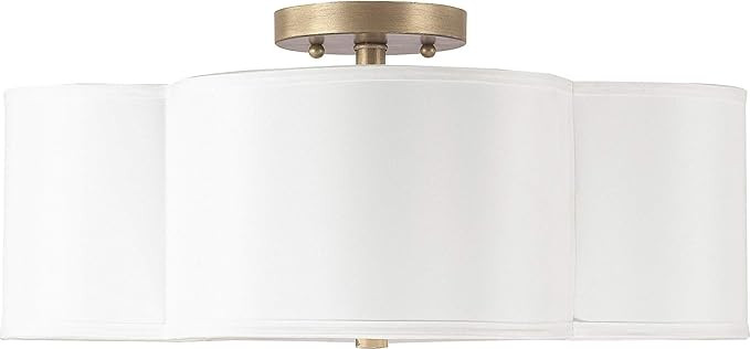 Capital Lighting 4453BG-561 Quinn Decorative Fabric Shade Semi Flush Ceiling Light Fixture, 4-Lig... | Amazon (US)