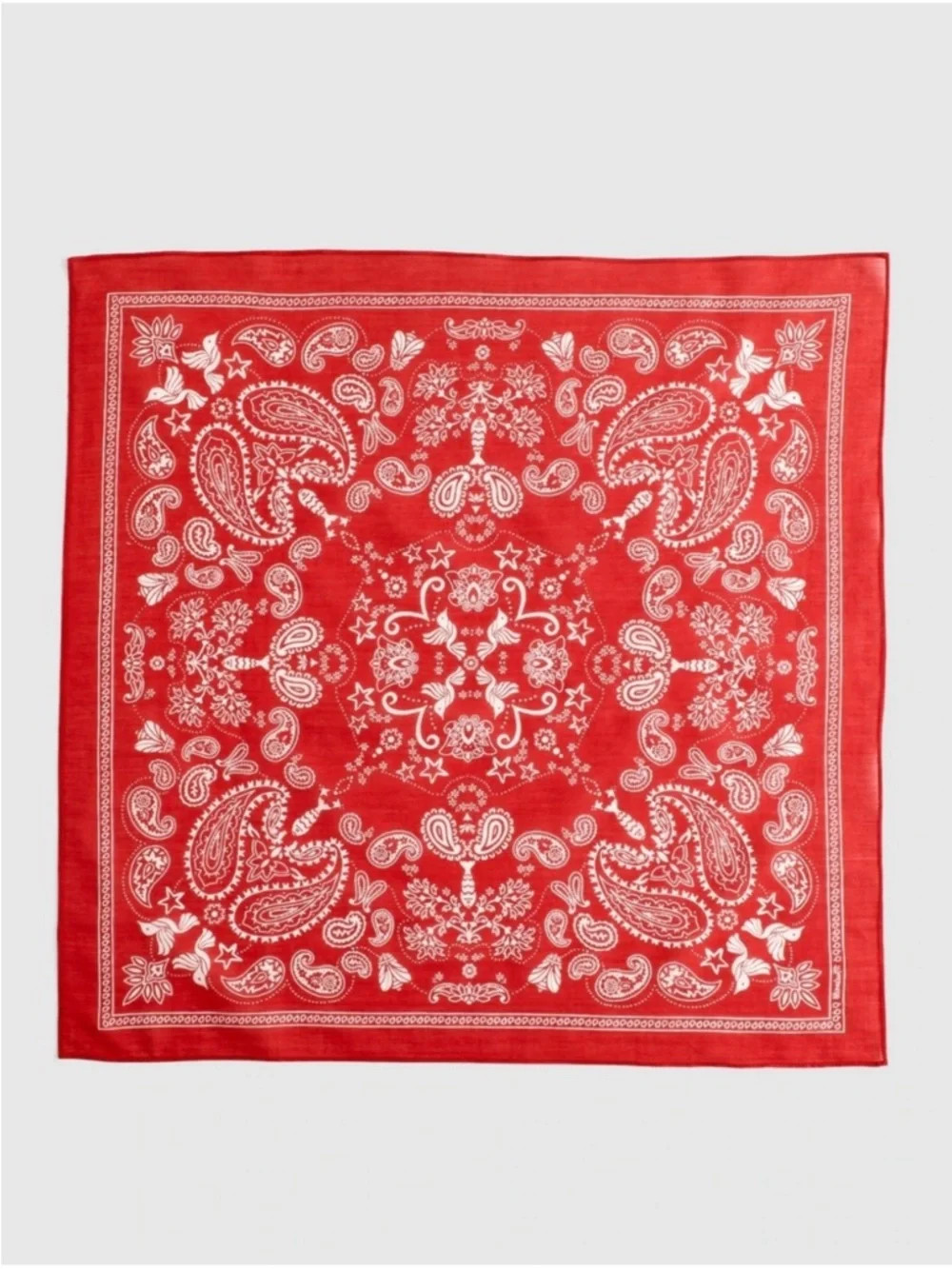 Organic Cotton Bandana nwot | Poshmark