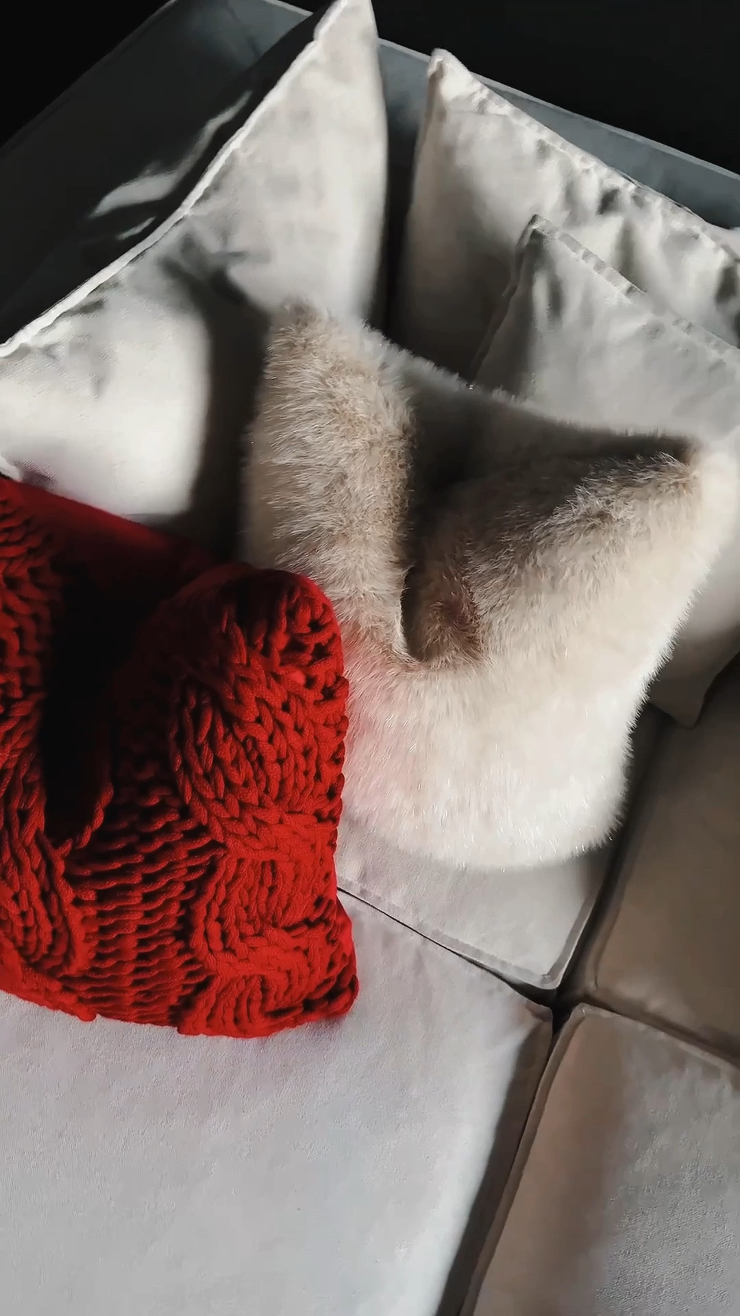 The ultimate holiday pillow combo is here 
Red knit, shimmer fur, and the prettiest snowflake accent—all linked for you.
If you’re building a cozy holiday moment on your couch this season, start with these


#holidaypillows
#cozypillows
#throwpillows
#couchdecor
#livingroominspo

#holidayhomedecor
#christmasdecor
#christmashome
#festivehome
#holidaystyle

#LTKHome #LTKHoliday #LTKSeasonal