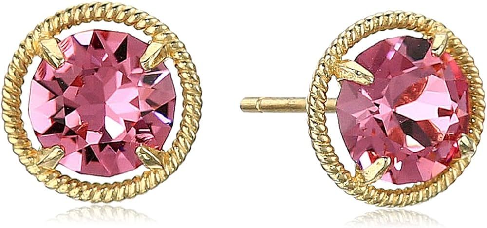 Amazon Collection 10k Gold Made with Infinite Elements Imported Crystal Birthstone Stud Earrings | Amazon (US)