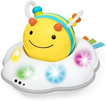 Skip Hop Explore & More Follow-Me Bee 3-Stage Developmental Learning Crawl Toy | Amazon (US)