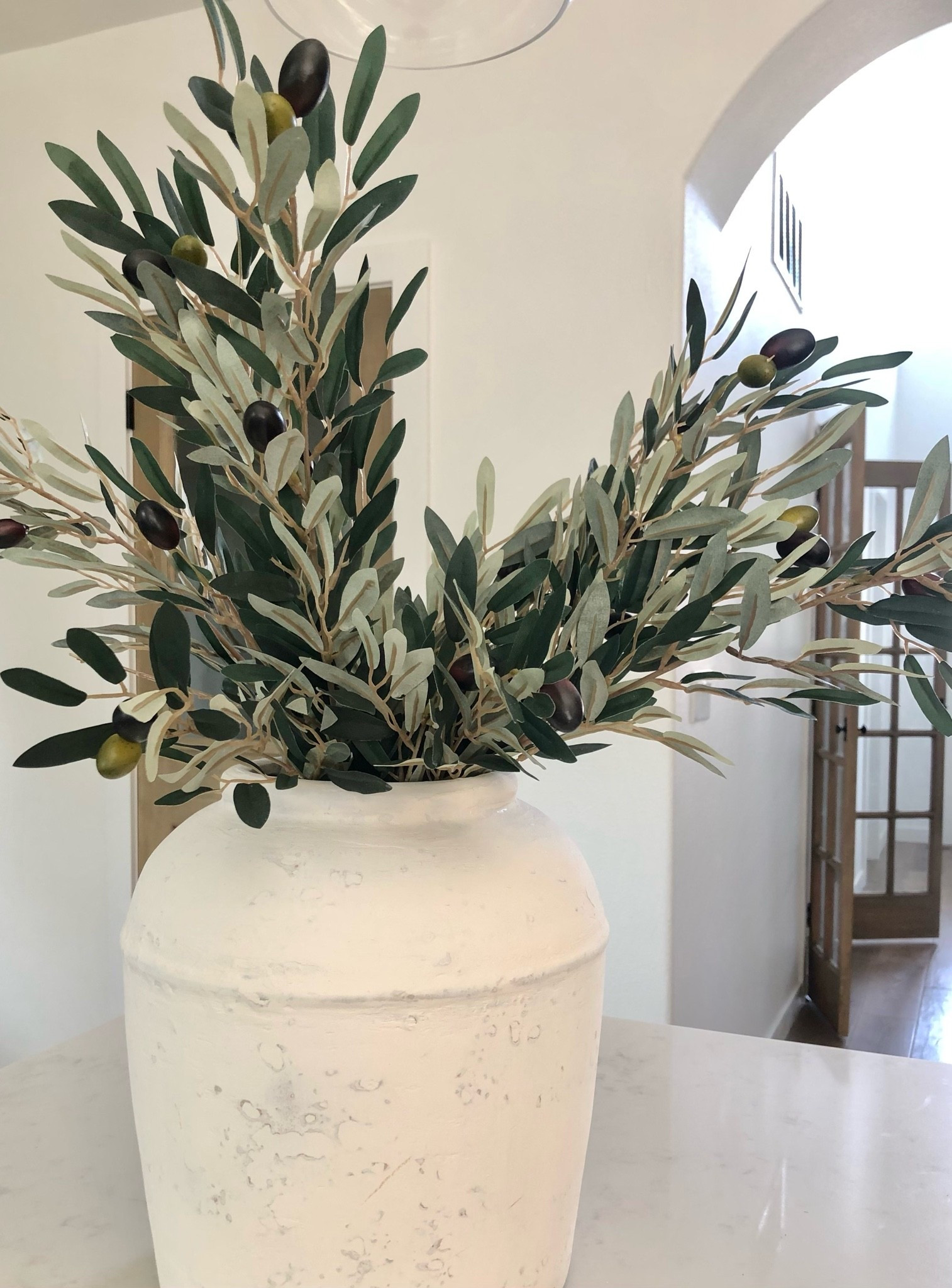 One of my favorite olive stems!

Vases and stems, olive branches, tabletop decor, home decor, kitchen decor

#LTKSaleAlert #LTKHome