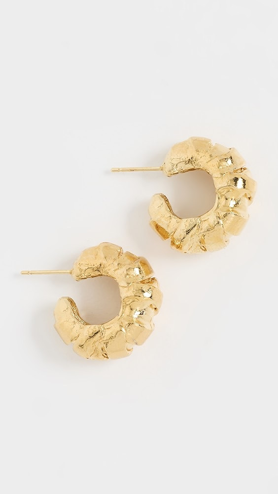 Paola Sighinolfi | Shopbop