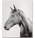 Horse Photography Black and White Animal Photography Nursery Animal Print Horse Art Animal Picture B | Amazon (US)