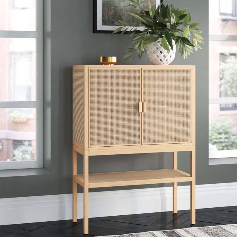 Franke 48'' Tall 2 - Door Accent Cabinet | Wayfair North America