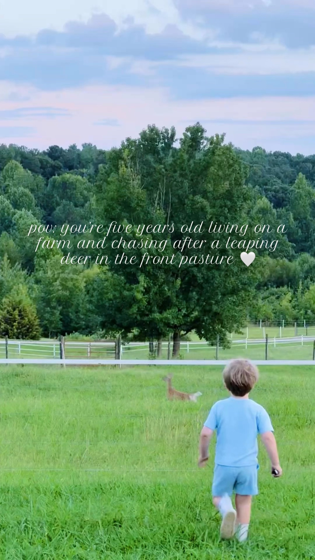 truly the days I always dreamed of 🦌💭 and so thankful to be planting our roots 🌱 and raising our sweet babies 👶🏼🩵👶🏼 out on this beautiful slice of heaven on earth !!! 🌤️🌳🌾🌼 #momentslikethis #farmdreamcometrue #farmlife #babiesandland #heavenlyview