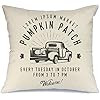 AENEY Fall White Pumpkin Throw Pillow Cover 18 x 18 for Couch Helloween Decorations Farmhouse Hom... | Amazon (US)